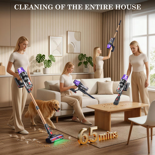 Blossom V20 Cordless Vacuum Cleaner Brand